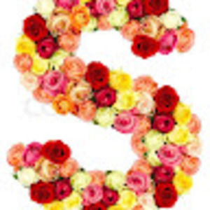 Meet your Posher, Samira